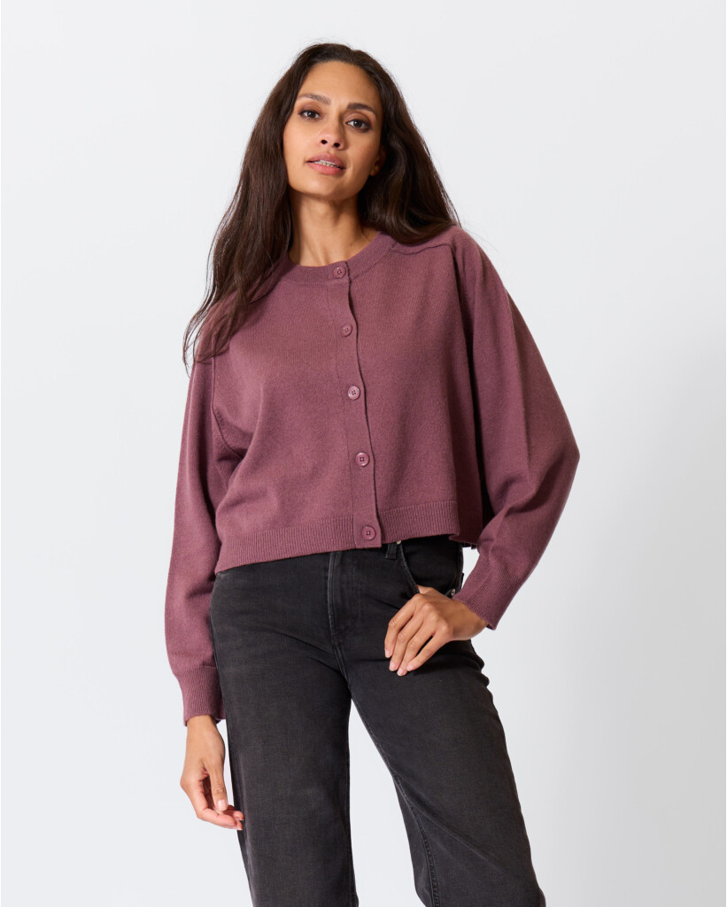 Cashmere Vest Fig