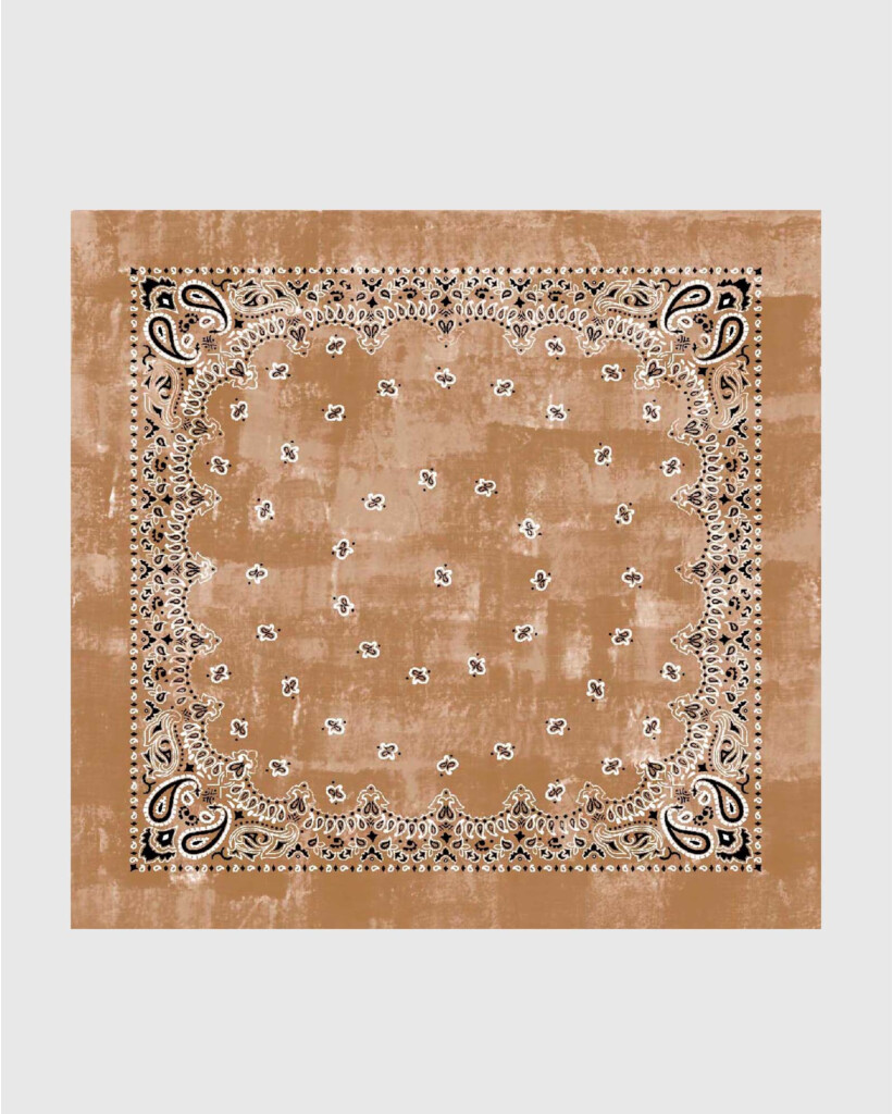 Jill Quadra Shawl Vicuna