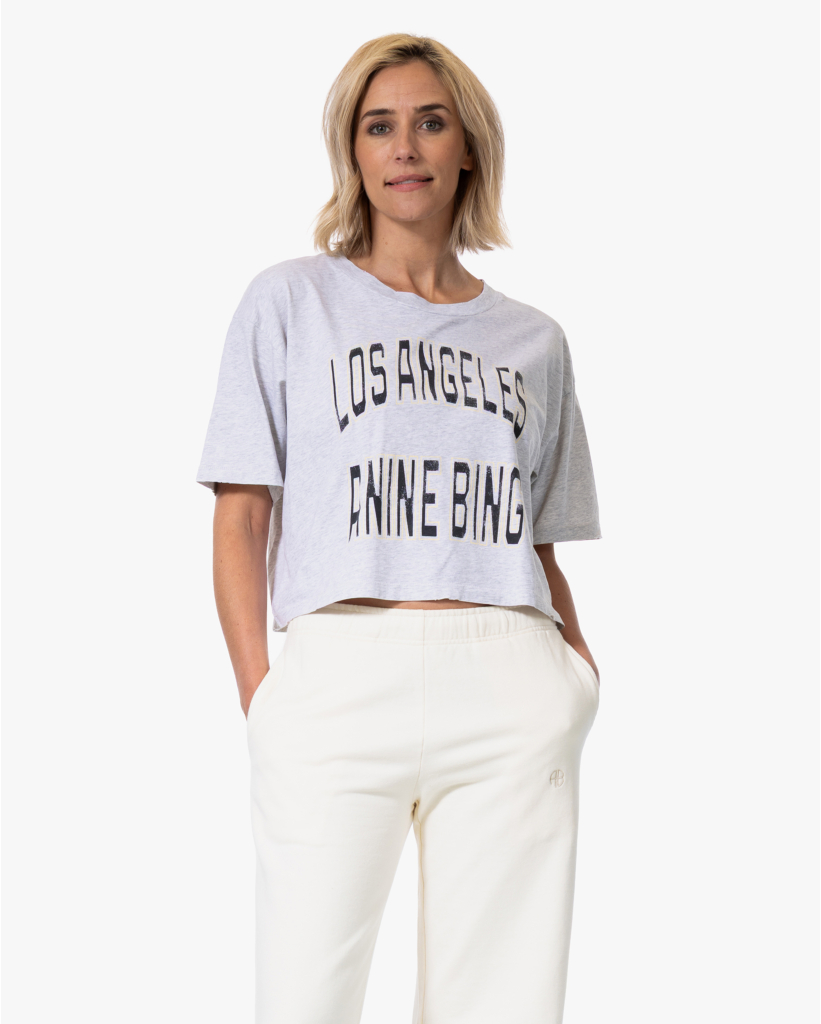Johnny Cropped T-shirt Grijs