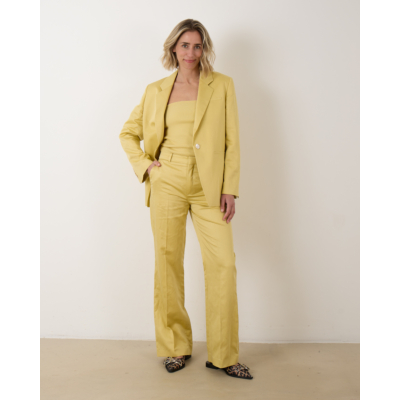 Drykorn Argue Pantalon Yellow