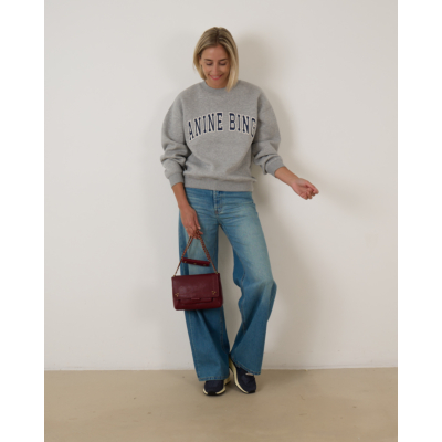 Anine Bing Spencer Sweatshirt Heater Grey
