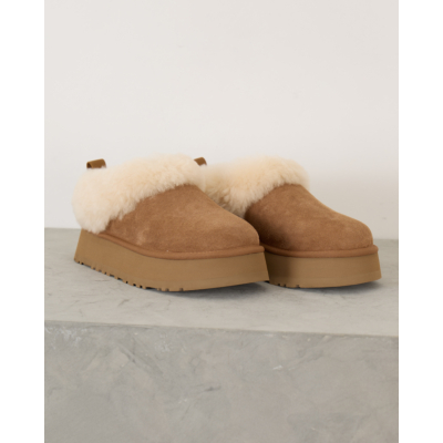 UGG Tazzelle Booties Chestnut