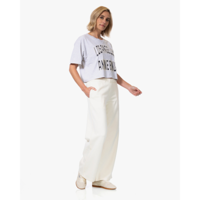 Anine Bing Johnny Cropped T-shirt Grijs